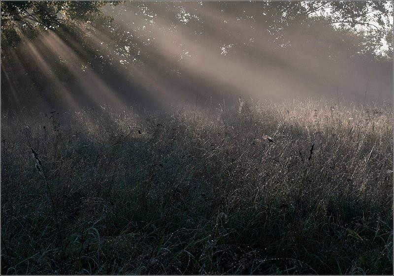Ja tylko walczę o siebie, ja tylko nie chcę umierać, …