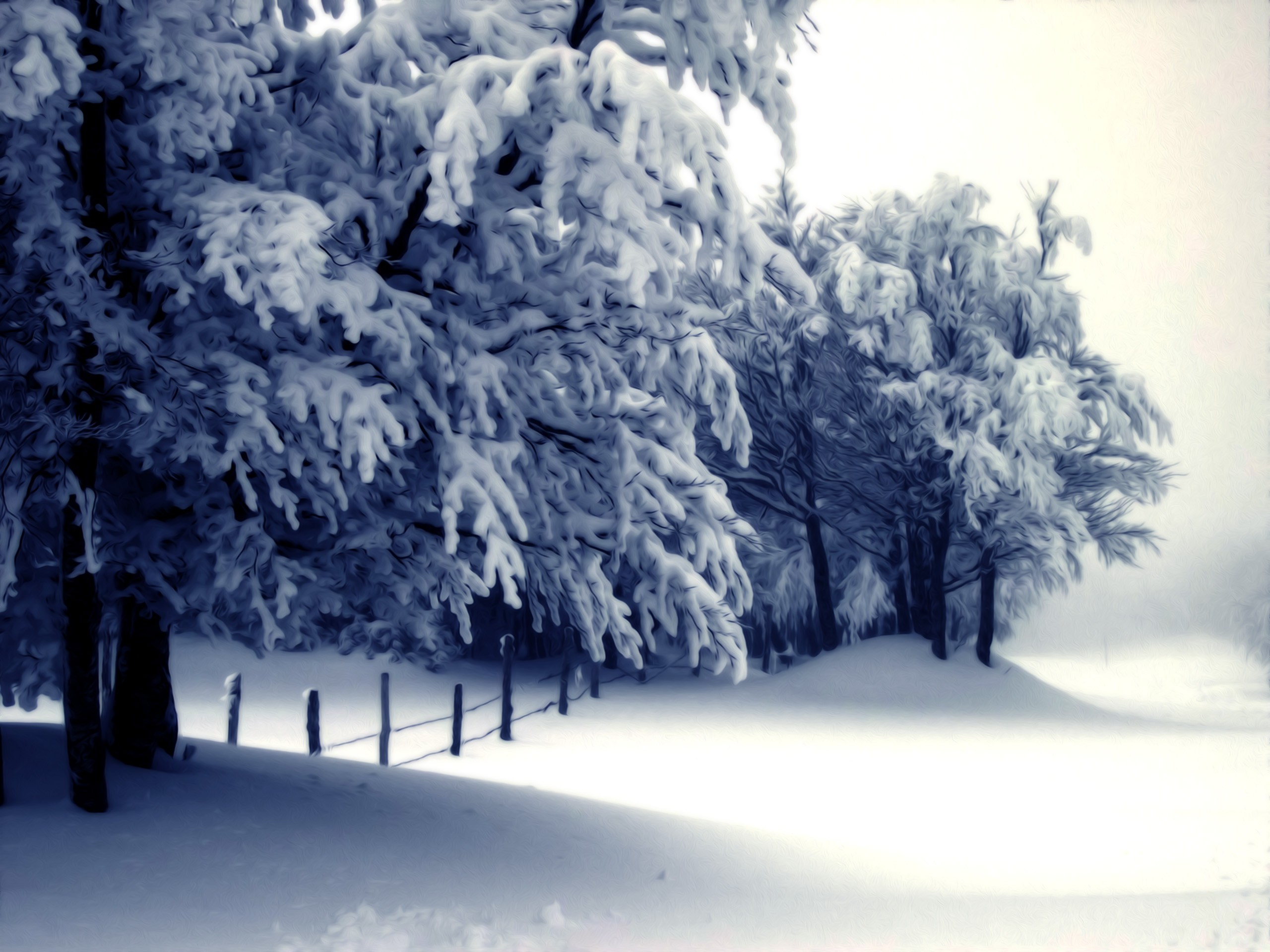 Śnieg ukryje krew i kości, zasypie grzechy i cnoty miłosierną …