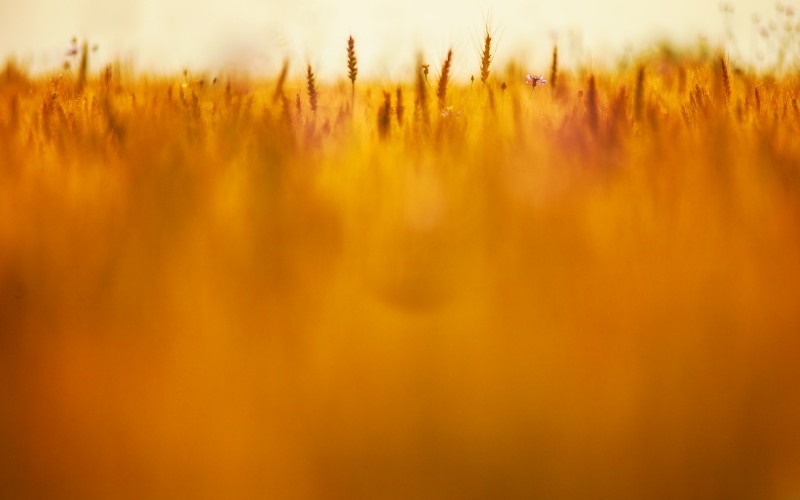 Powód, dla którego zaczynamy coś robić, rzadko jest powodem, dla …