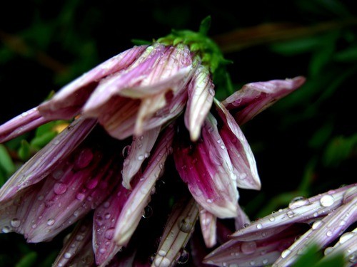 Jedyną nadzieją jest… nadzieja.