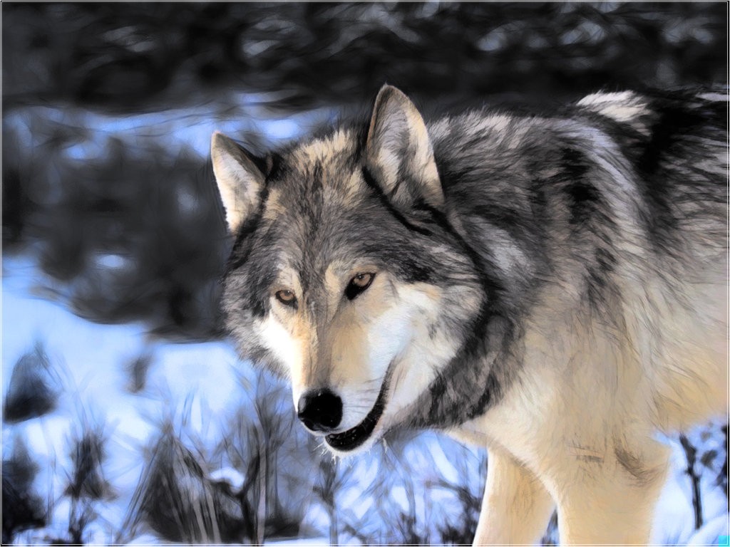 Miecz sprawiedliwości jest równie ostry jak sierp nędznego wieśniaka. Po …