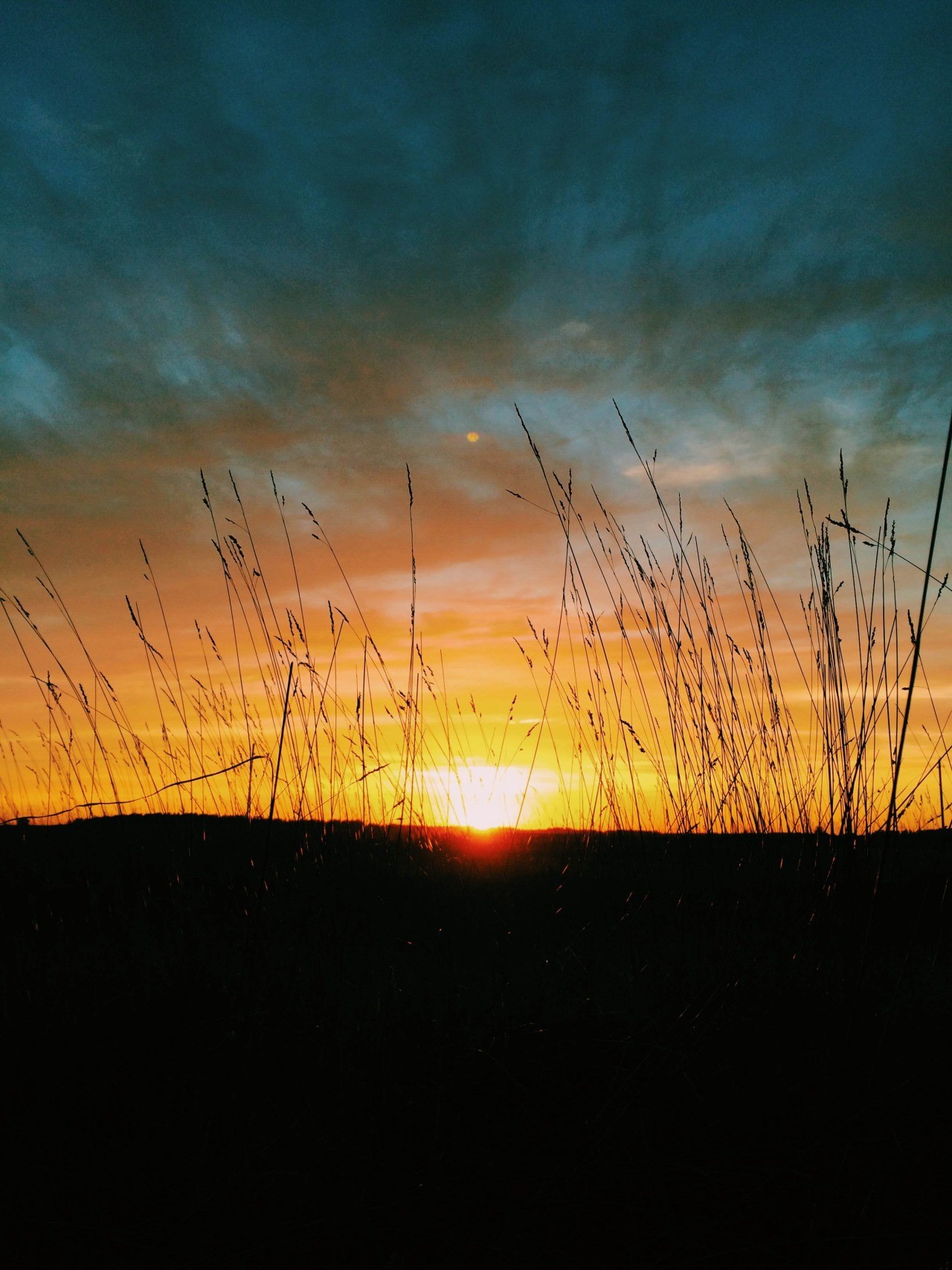 Zawsze jest pora i widzieć i mówić prawdę.