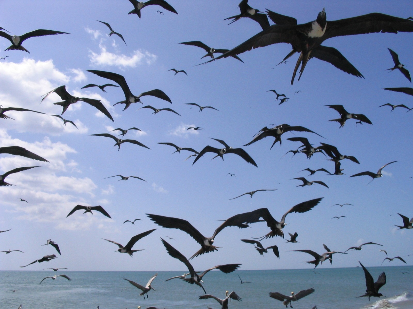 Czasami wydaje mi się, że ludzie potrafią grać tylko w …