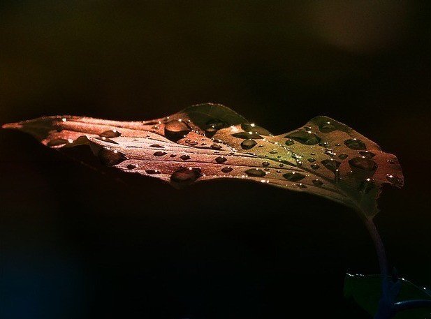 Zmieniam świat, świat zmienia mnie.