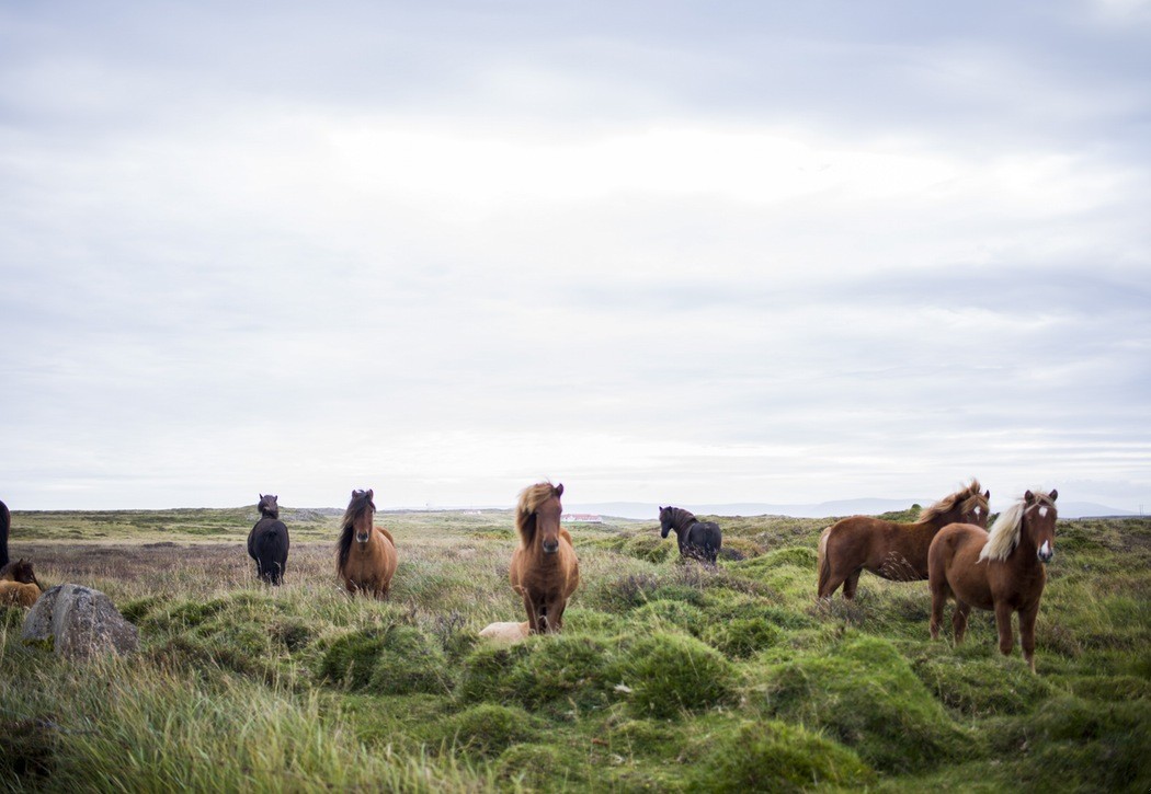 Należy spodziewać się tego, co najlepsze: zło przyjdzie samo.