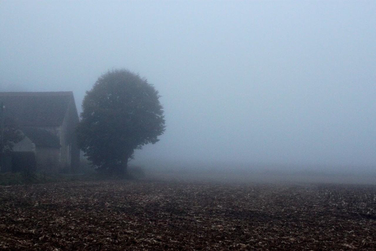 A kiedy umiera marzenie, ciemność wypełnia miejsce przez nie osierocone. …