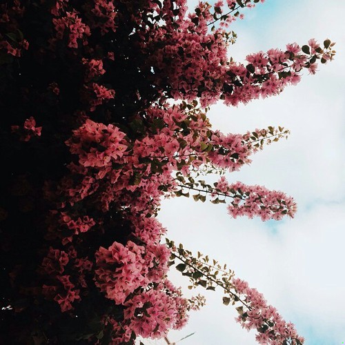 Kobiety łakną bajki.