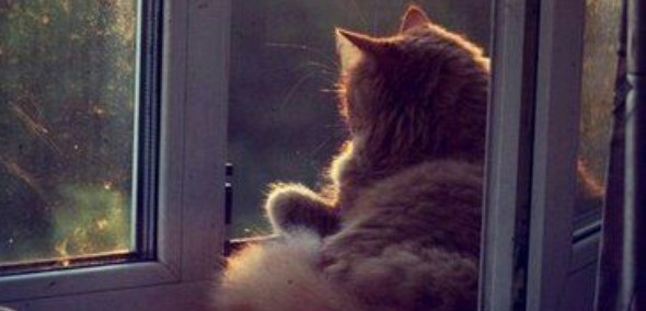 Jedyną myślą nie do zniesienia jest to, że znieść można …