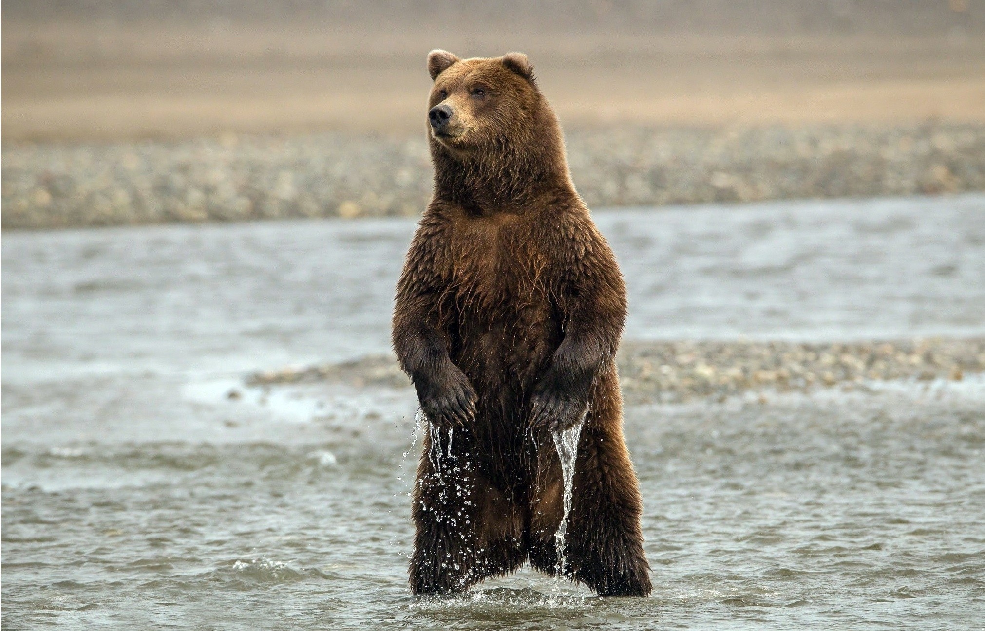 Nie da się przejść rzeki suchą stopą.