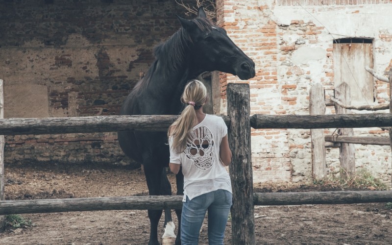 Wyjątek wyklucza regułę