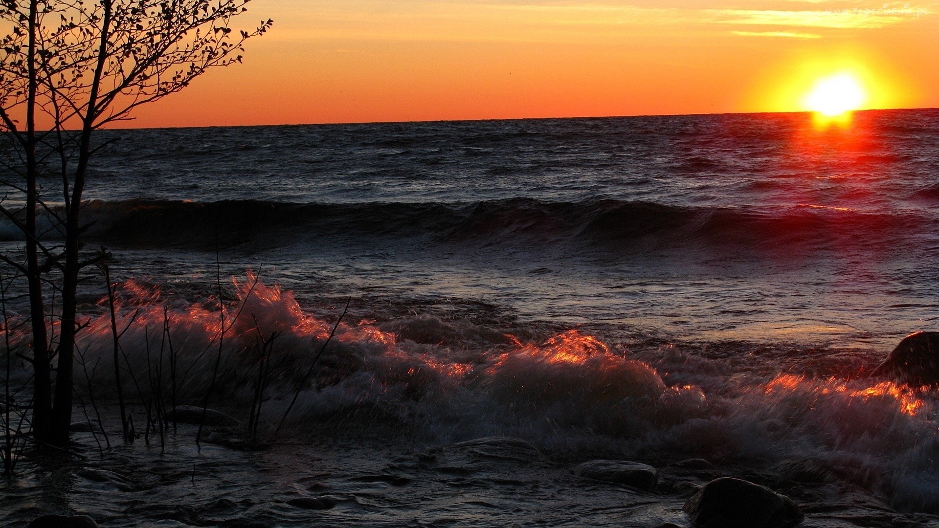 ,,Radość z powodu twojego istnienia jest o wiele większa niż …