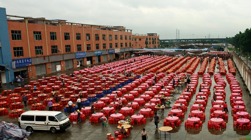 Nic tak nie męczy jak głupota, z chwilą kiedy uznało …