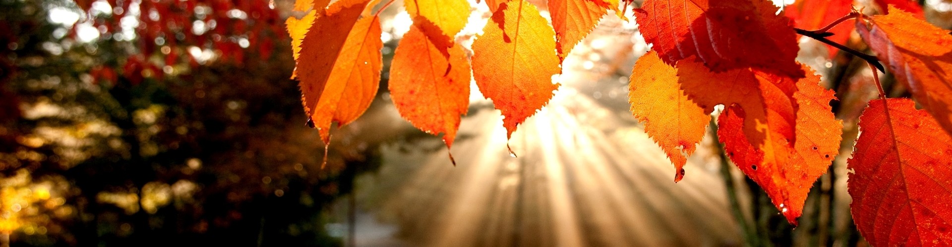 Pan ma jakiś plan dla nas wszystkich, ale czasem nie …