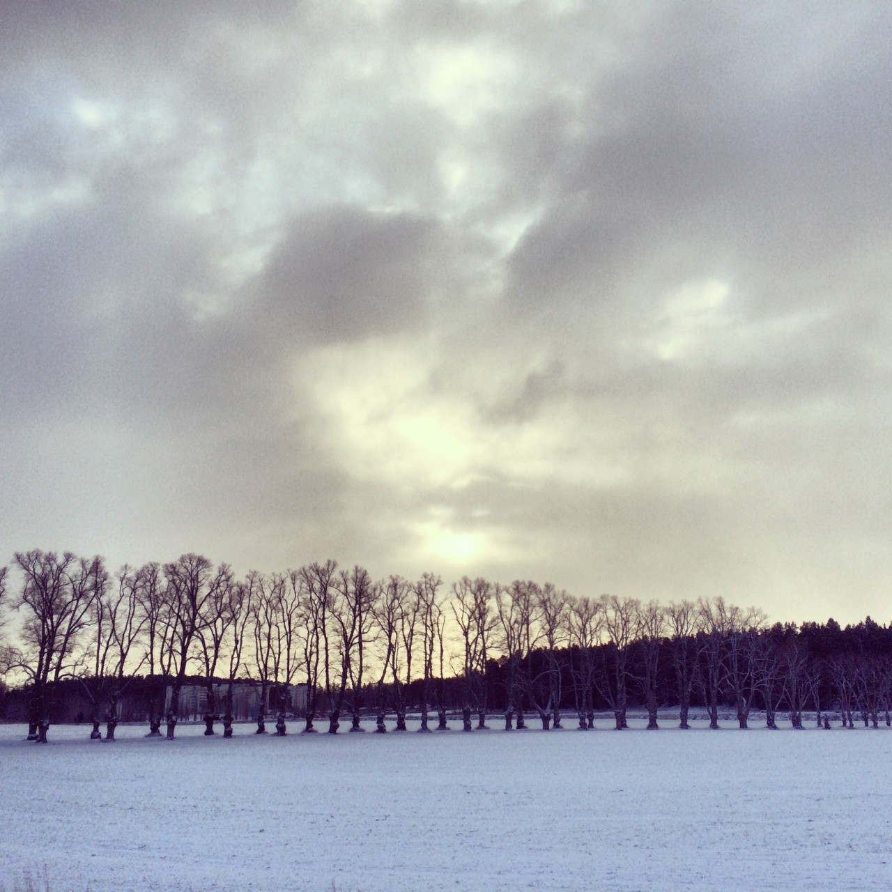 To chyba jest właśnie miłość. Kiedy się ma kogoś w …