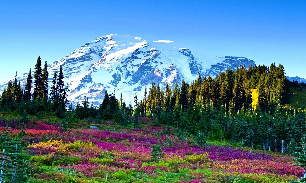 Bóg kocha z tego powodu, kim sam jest, a nie …