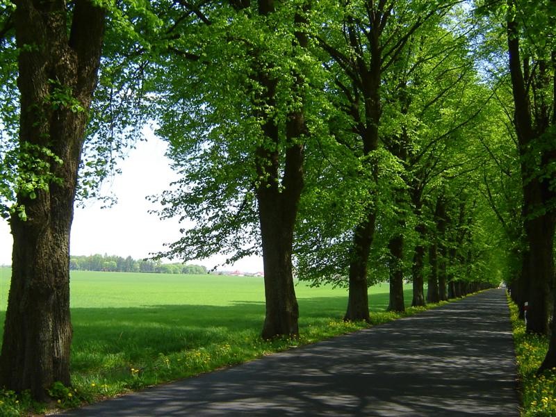 Kto ogniem wojuje, od ognia ginie. To, czym żyjesz, przyniesie …