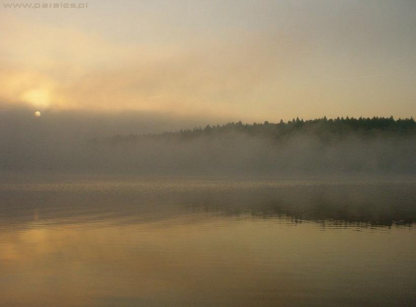 Stworzyć niezbity fakt z pajęczyny domysłów.
