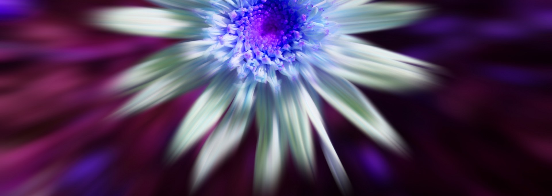 Miłujesz, gdy ból drugiego odczuwasz na własnym ciele, i wtedy, …