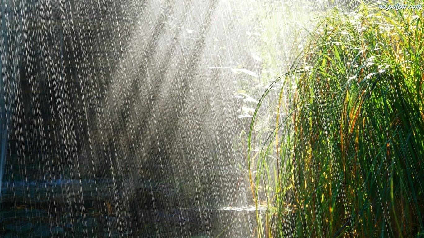 Lubię deszcz, bo pada na wszystkich jednakowo.