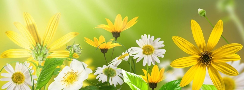 Z dwojga złego wybiera ten, któremu brakuje odwagi, by zmierzyć …