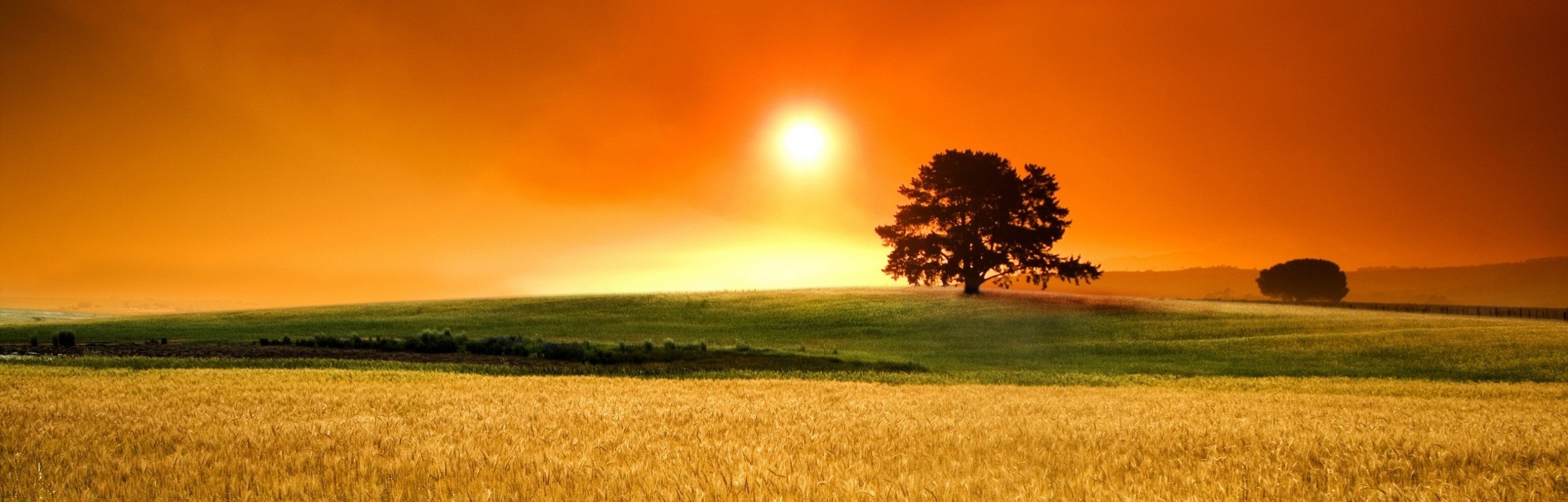 Jesteśmy ludzcy, kiedy grzeszymy. Ale stajemy się boscy, kiedy wybaczamy.