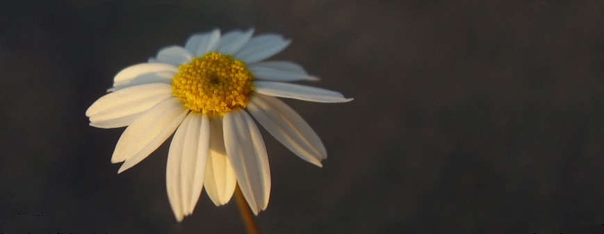 Płakać trzeba w spokoju. Tylko wtedy ma się z tego …