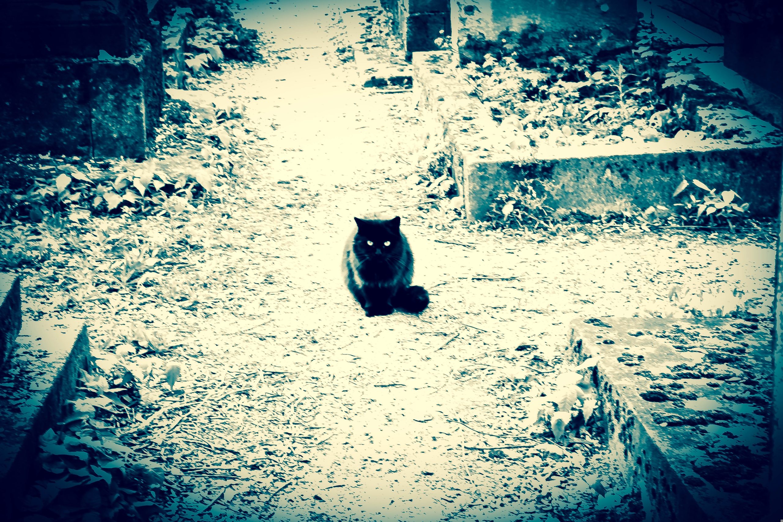 Po Bogu, Shakespeare stworzył najwięcej.