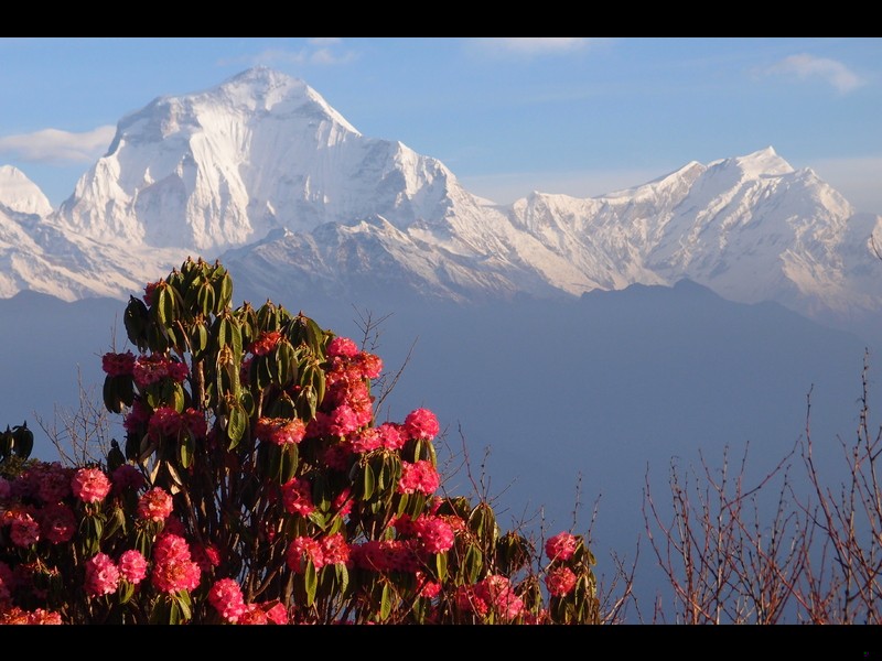 Wiedziałam, że wszyscy uważają mnie za szaloną.(…) więc i ja …