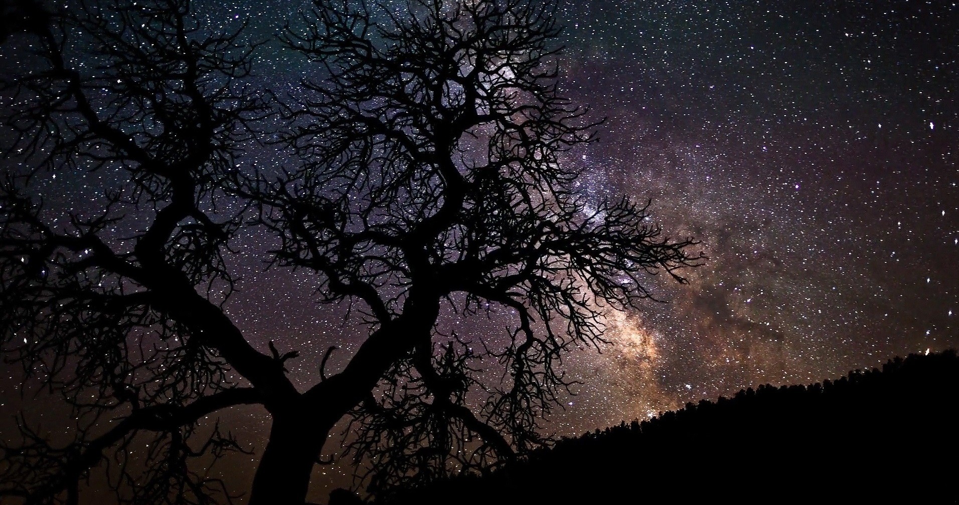 Bogactwo może przyjść do Ciebie, ale po mądrość musisz pójść …