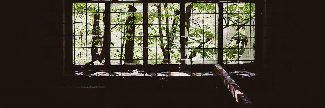 Marzenia i tęsknota, to one nadają naszemu życiu sens.