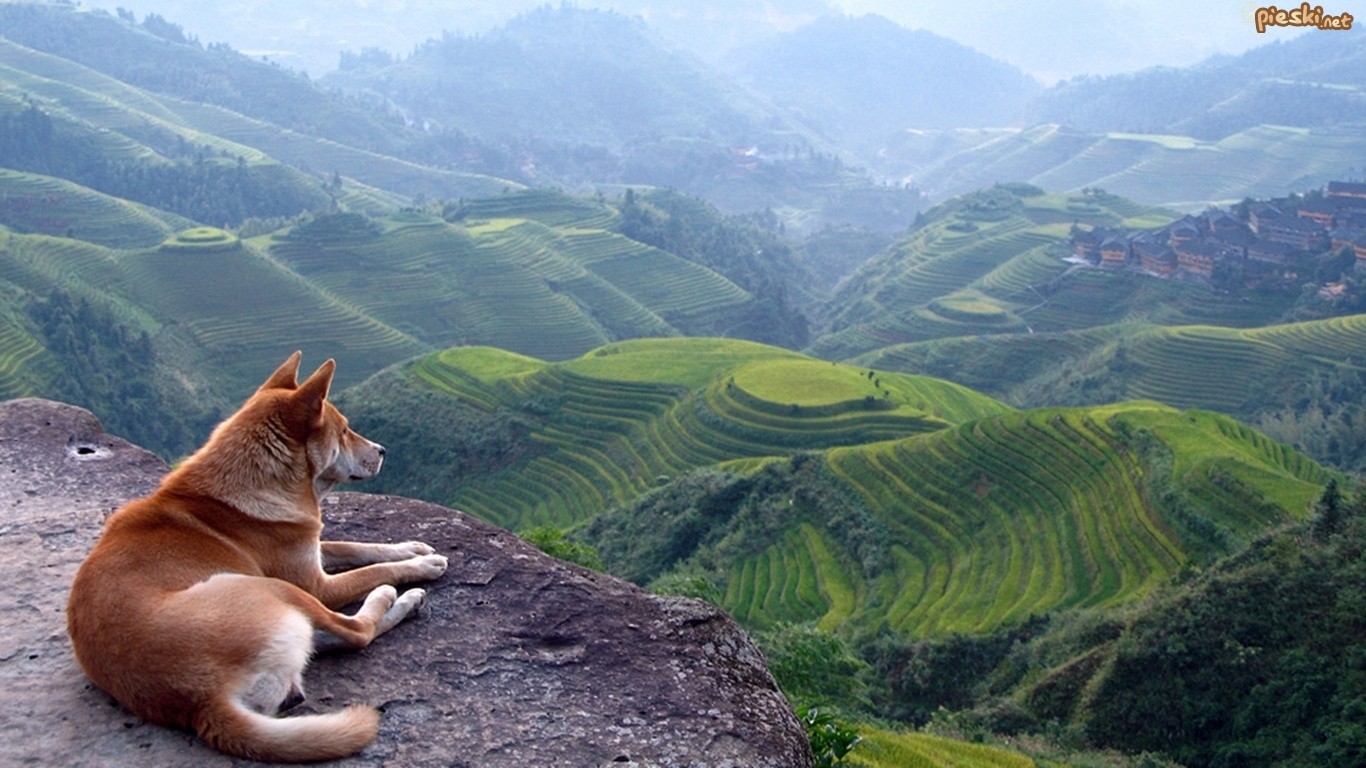 tym więcej chcesz im więcej masz