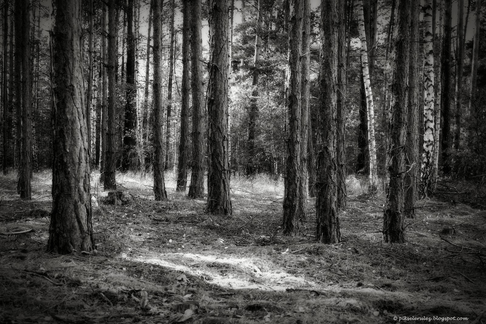 Każdy kiedyś przegrywa, lecz i z porażki można wiele wynieść.