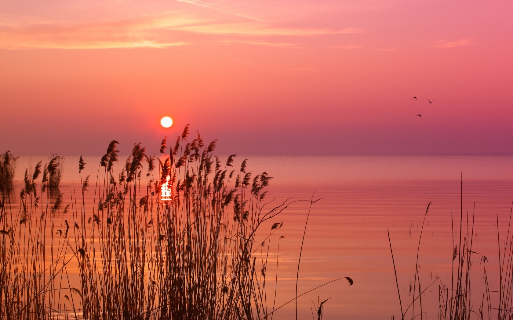 Jak to jest gdy żyje się w oszustwie? Każdy gest, …