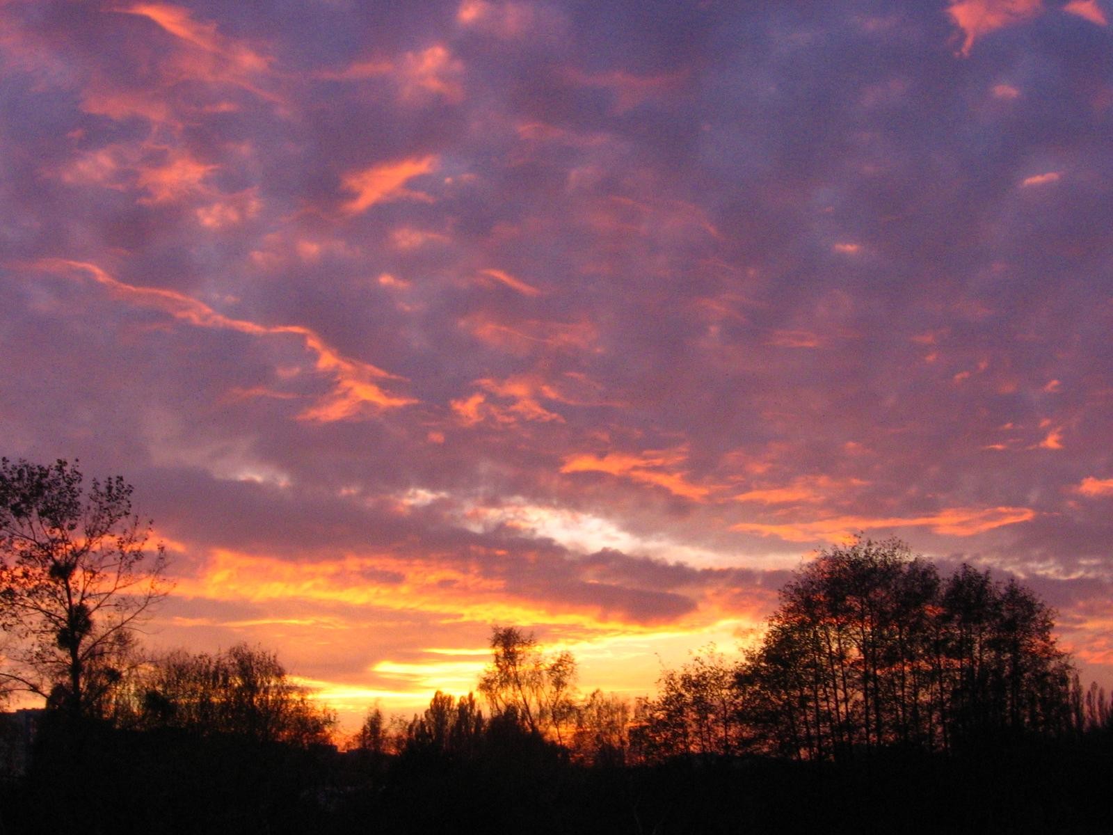 „Czemu mnie zdradziłes ? – pyta serce; Przepraszam , nie …