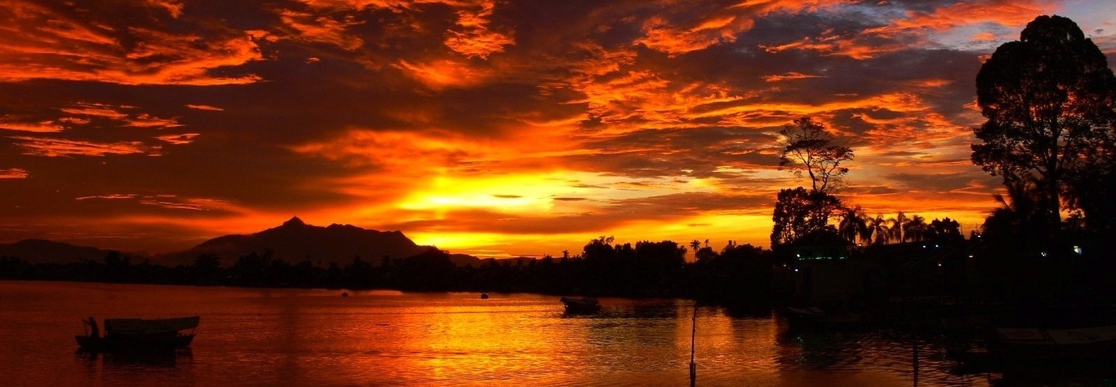 Strzyg, wiwern, endriag i wilkołaków wkrótce nie będzie na świecie. …