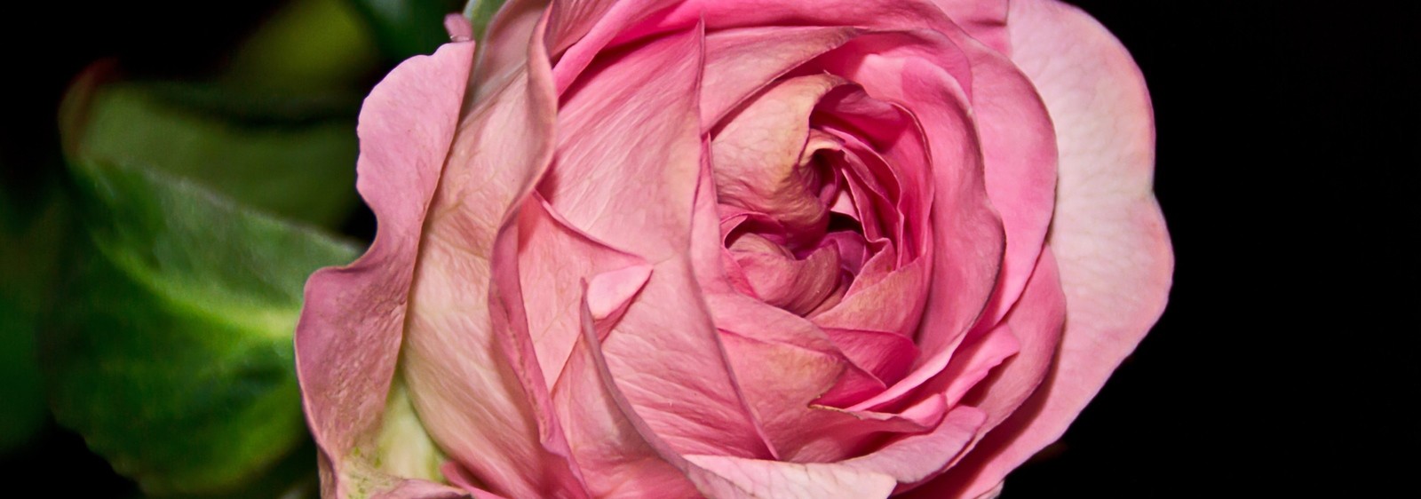 Można znaleźć piękno jeśli wystarczająco mocno się go szuka.