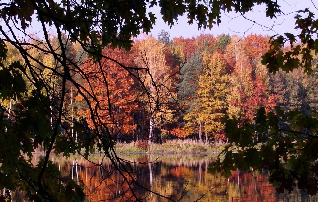 …posiadanie męża i dzieci równa się przepierce mózgu, człowiek staje …