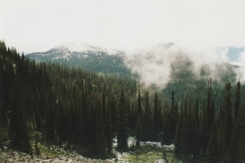 W miłości człowiek się rozwija, w strachu – kurczy. W …