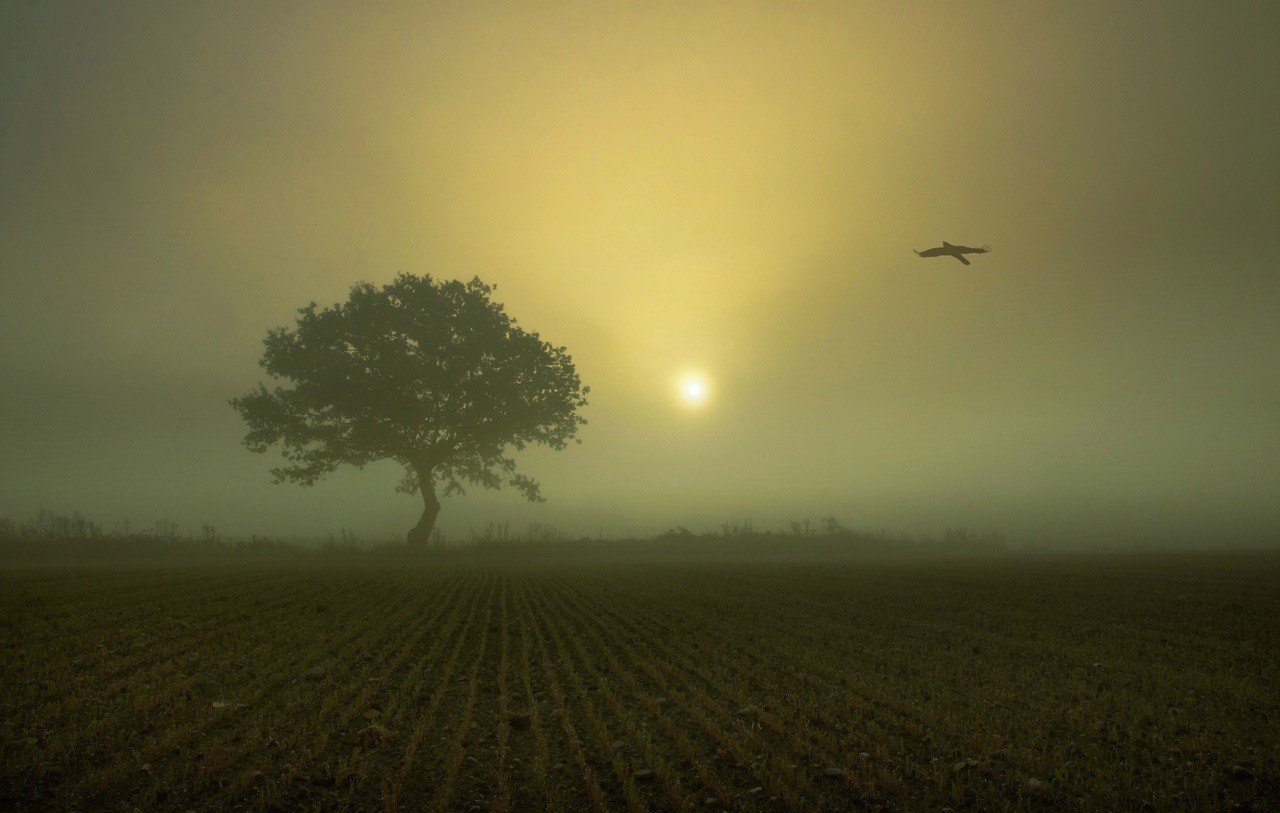 Zanim zdecydujesz się być z kimś, naucz się być sam. …