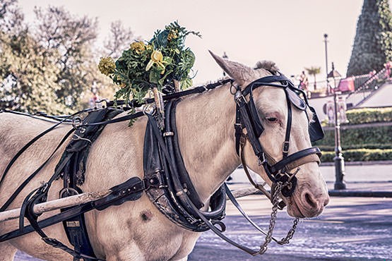 Żyję więc jak więzień własnego ciała, nie mogąc uciec przed …