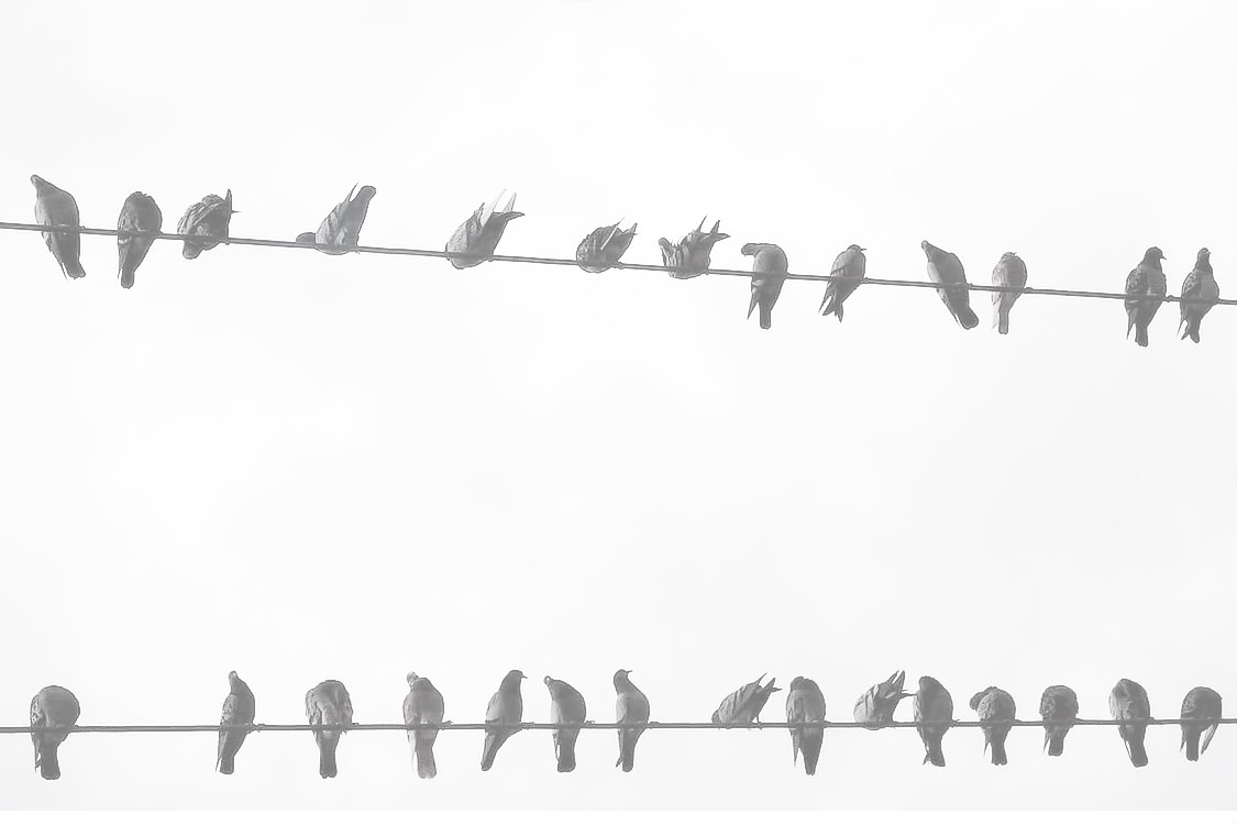 Panie, zachowaj mnie od zgubnego nawyku mniemania, że muszę coś …