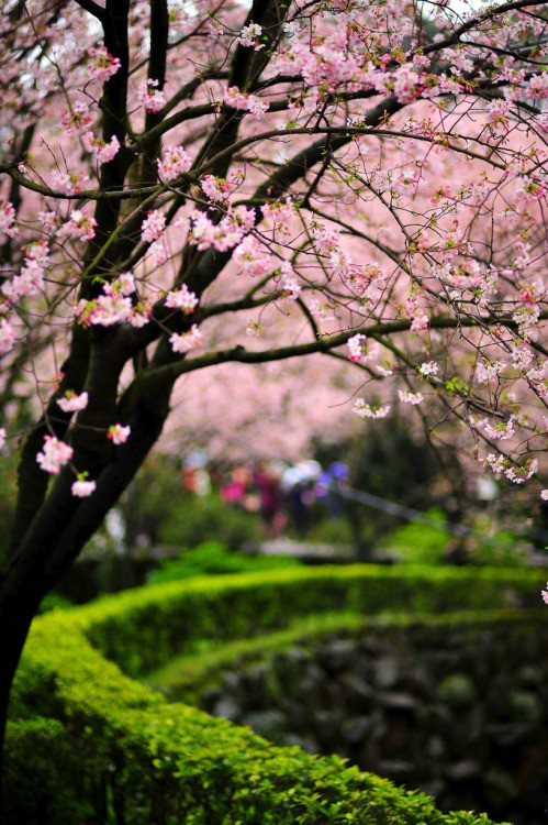 Przyjaźń to jedna dusza zamieszkująca dwa ciała.