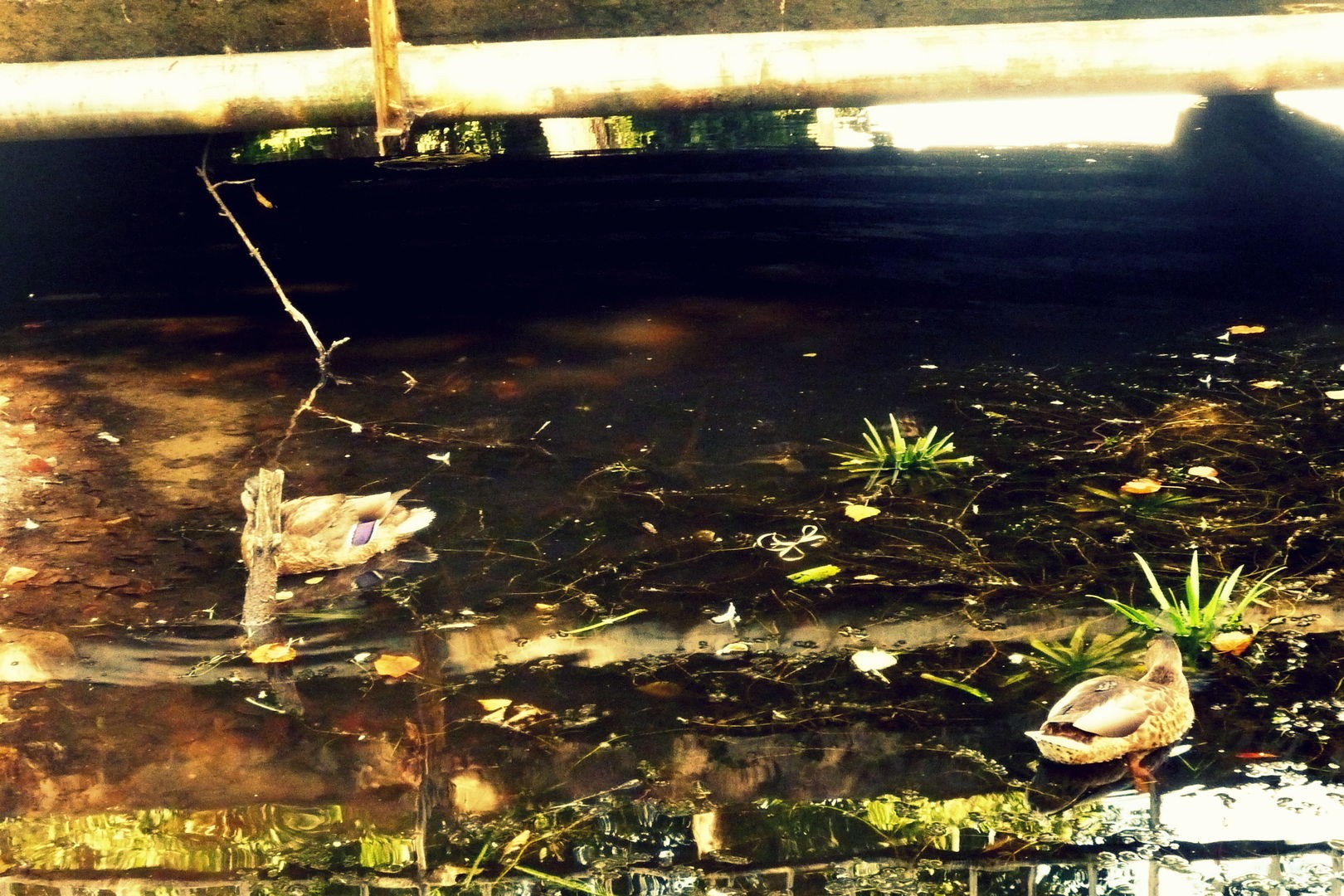 Problem z wszechogarniająca miłością polega na tym, co się dzieje …