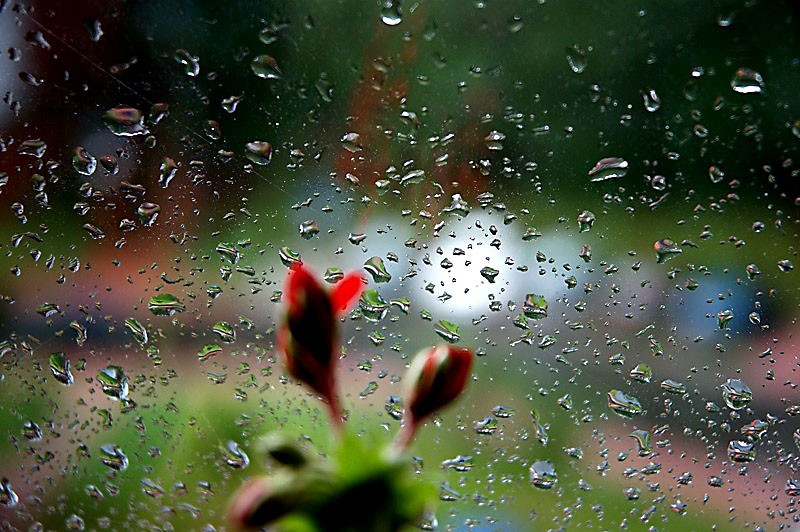 Człowiek pozbawiony ducha to jedynie zbiór pierwiastków.