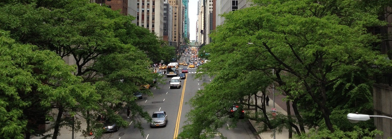 Niebo wciąż marzy o objęciach ziemi.