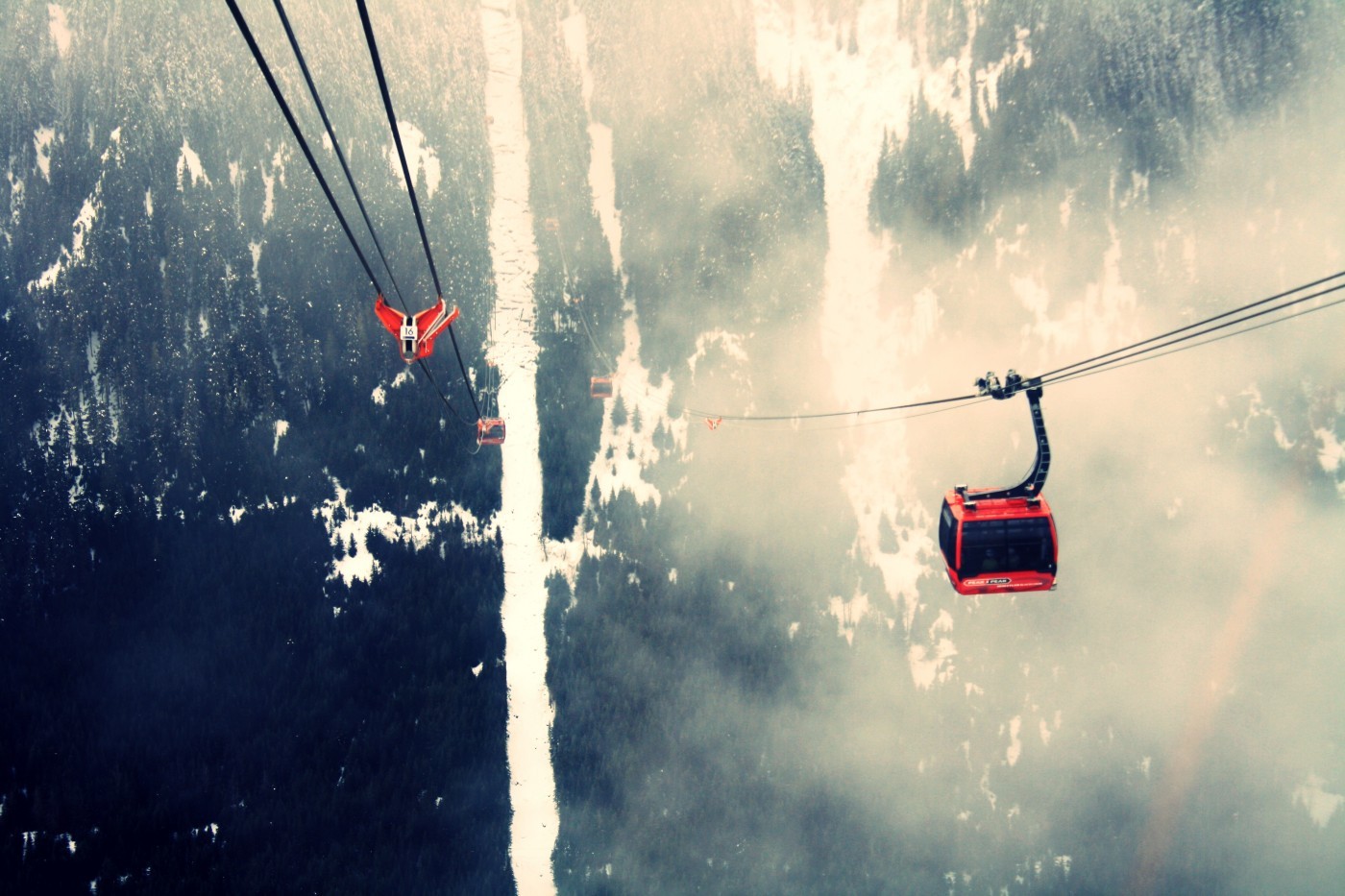 Mamy swoje marzenia, bo bez nich nie potrafilibyśmy znieść prawdy.