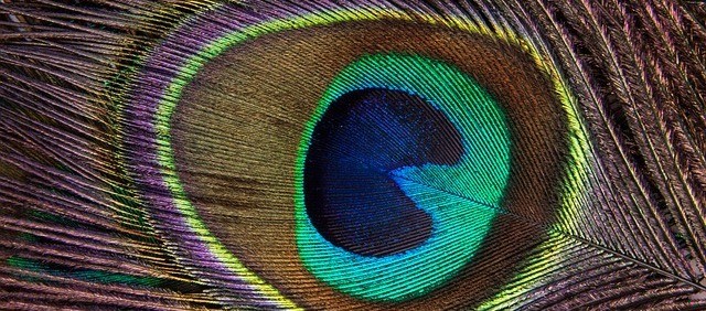 Skoro nie możemy żyć jak ludzie, postarajmy się przynajmniej nie …