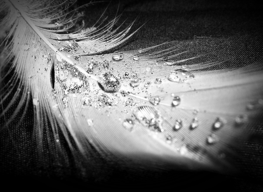 Im bardziej płaczę, tym słabsza się staję. Nie jestem już …