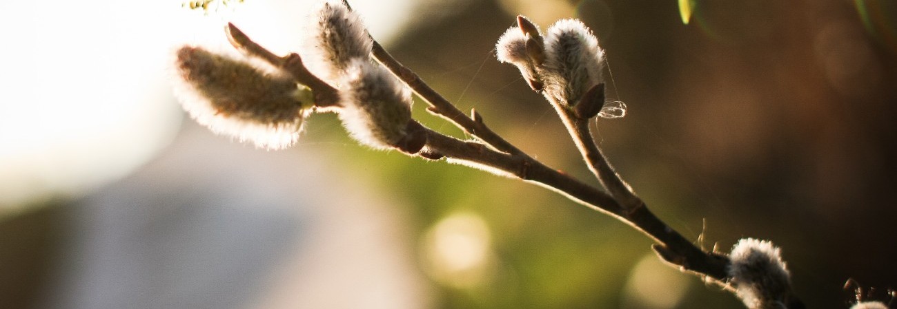 Gdyby ktoś nakręcił o tobie film, zatytułowałby go „Za bardzo …