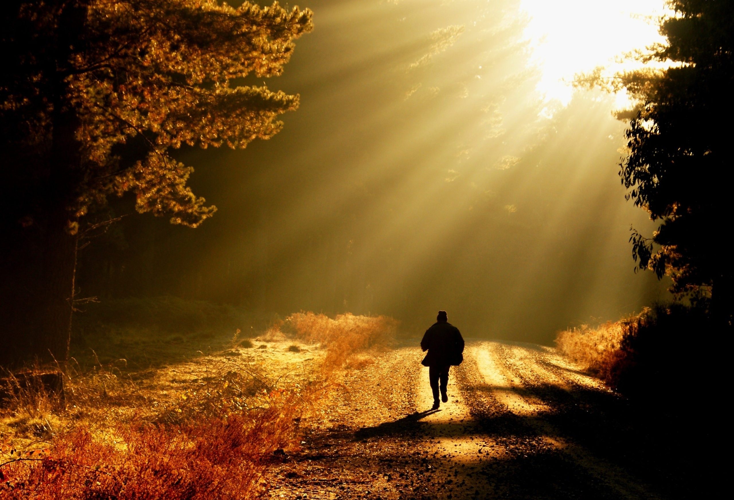 Potykając się można zajść daleko, nie wolno tylko upaść i …